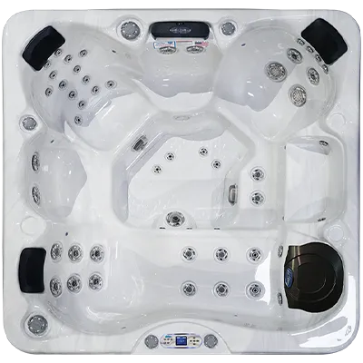 Avalon EC-849L hot tubs for sale in Springville