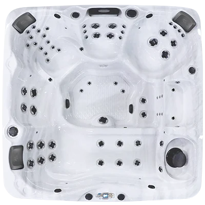 Avalon EC-867L hot tubs for sale in Springville