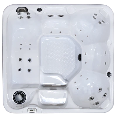 Hawaiian PZ-636L hot tubs for sale in Springville